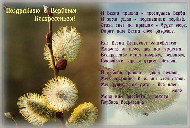 Поздравления с вербным воскресеньем: стихами, картинками и прозой