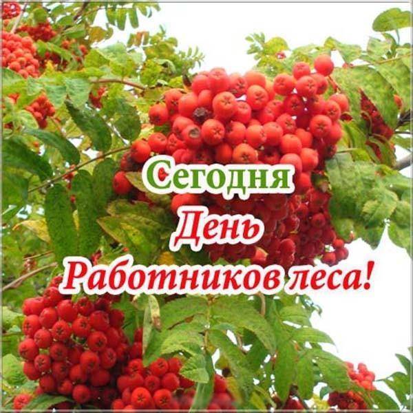 Поздравления с днем лесника работника леса