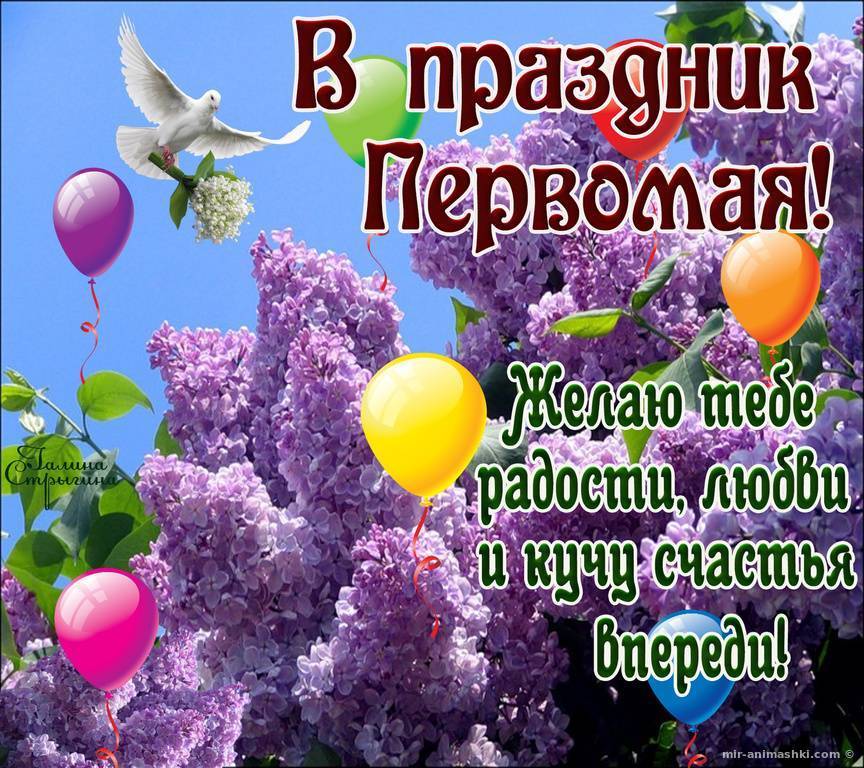 Лучшие поздравления с 1 мая в стихах, прозе, короткие |