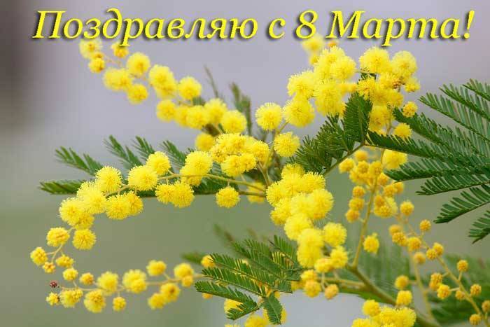 Смс поздравления с 8 Марта. Оригинальное поздравление 8 марта
