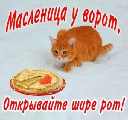 Прикольные поздравления с Масленицей