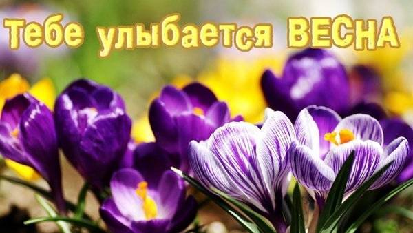 Прикольные поздравления с весной