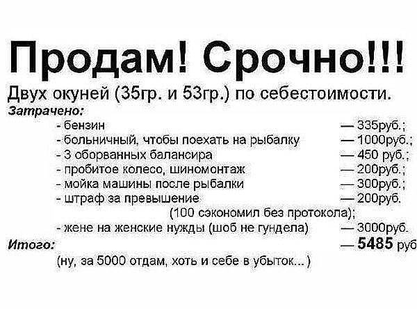 Прикольные анекдоты про рыбаков и рыбалку